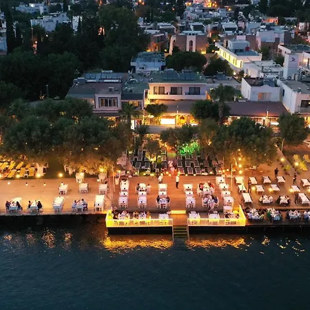 Hotel Ali's Beach