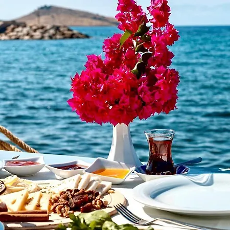 Hotel Ali's Beach *