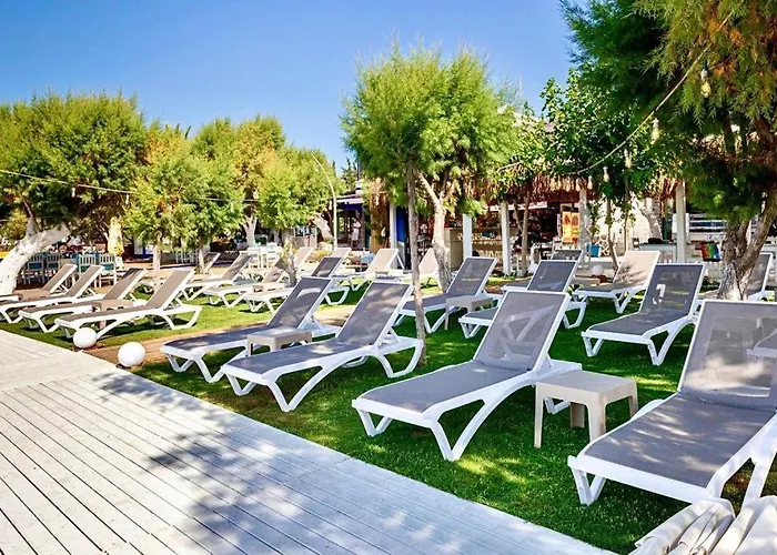 Ali's Beach