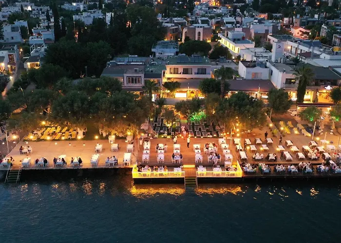 فندق Ali's Beach